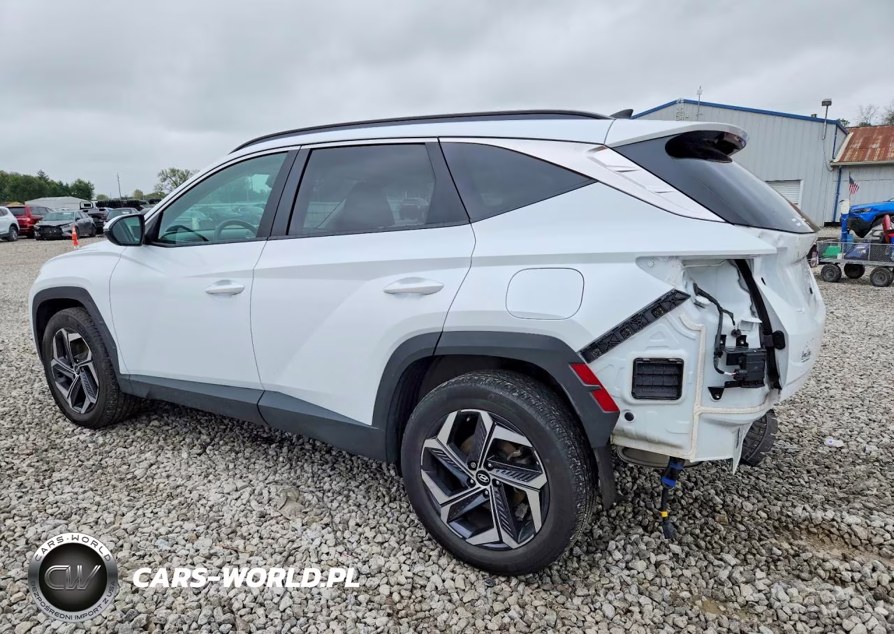 2024 Hyundai Tucson Sel Convenience VIN:KM8JCCD1XRU159819 - 2