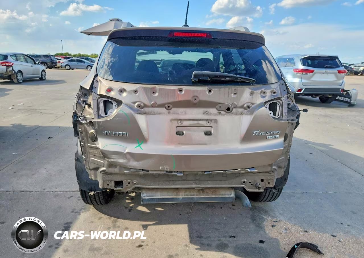 2010 Hyundai Tucson Limited VIN:KM8JU3AC1AU083916 - 6