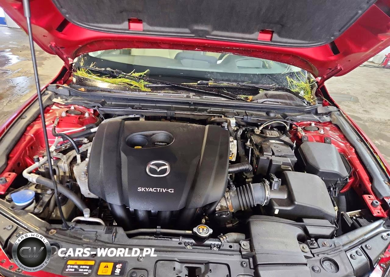 2019 Mazda 3 Premium VIN:JM1BPBEM3K1117130 - 11