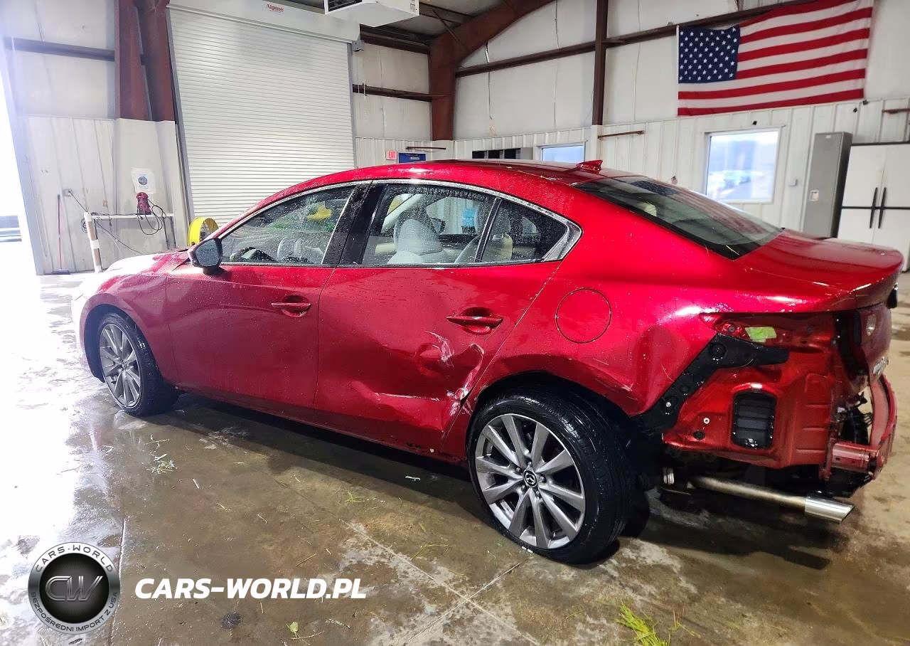 2019 Mazda 3 Premium VIN:JM1BPBEM3K1117130 - 2