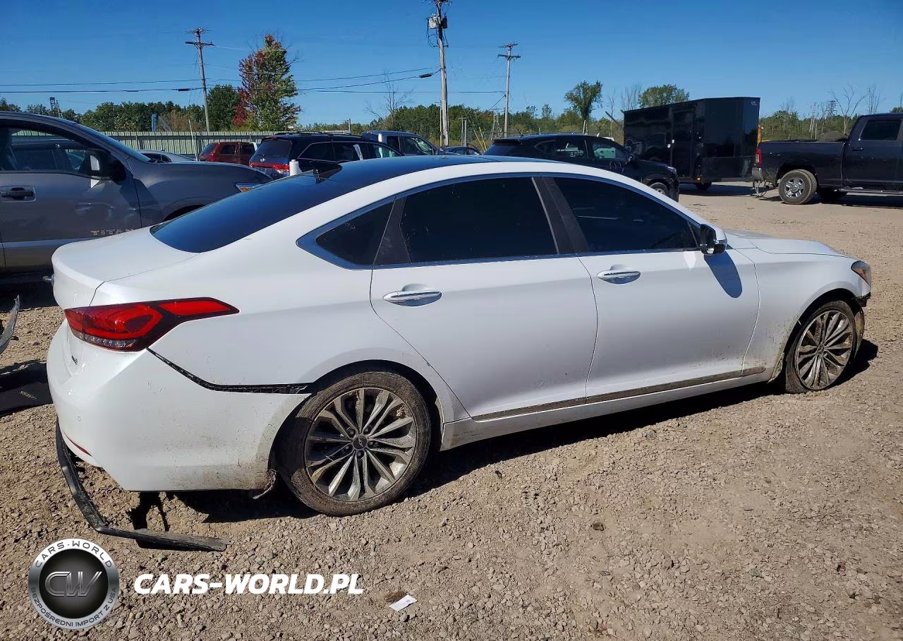 2016 Hyundai Genesis 3.8L VIN:KMHGN4JE3GU109200 - 3