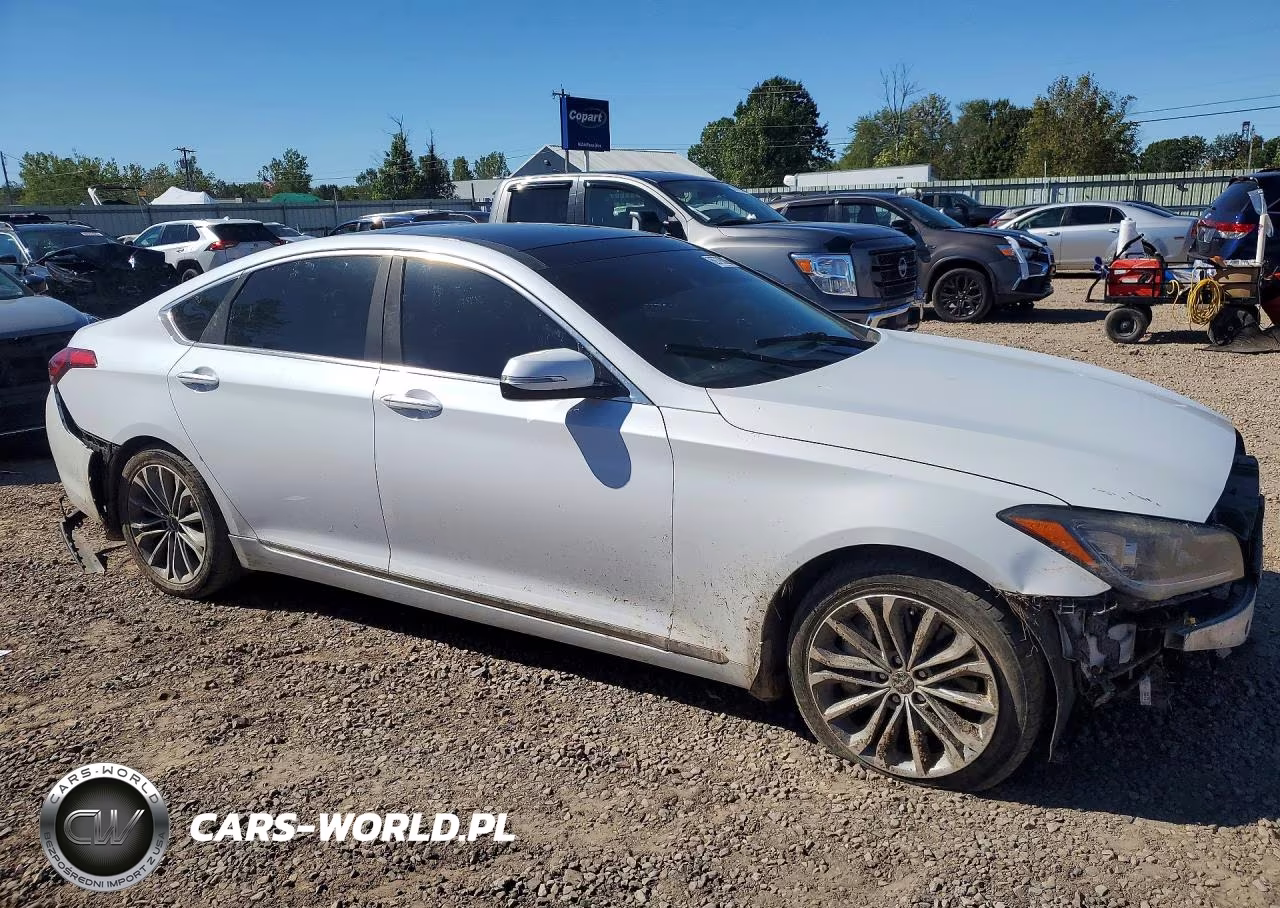 2016 Hyundai Genesis 3.8L VIN:KMHGN4JE3GU109200 - 4