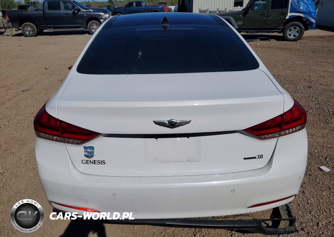 2016 Hyundai Genesis 3.8L VIN:KMHGN4JE3GU109200 - 6