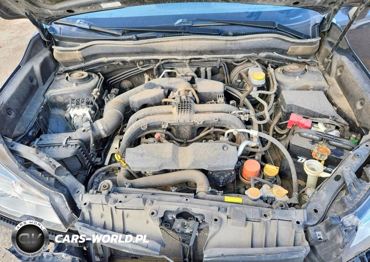 2017 Subaru Forester 2.5I VIN:JF2SJAAC6HH547583 - 12