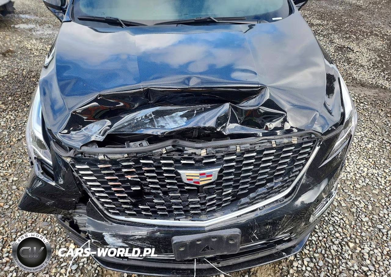 2021 Cadillac Xt5 Luxury VIN:1GYKNBR47MZ192007 - 12