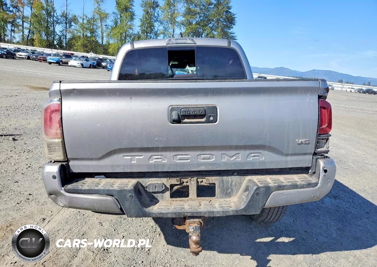 2020 Toyota Tacoma Trd Off-Road VIN:3TMCZ5AN1LM292401 - 6