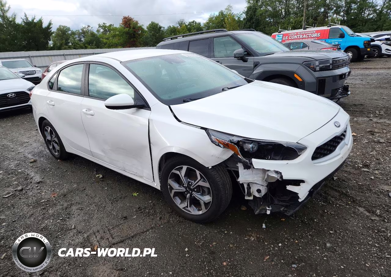 2020 Kia Forte Lxs VIN:3KPF24AD4LE187011 - 4