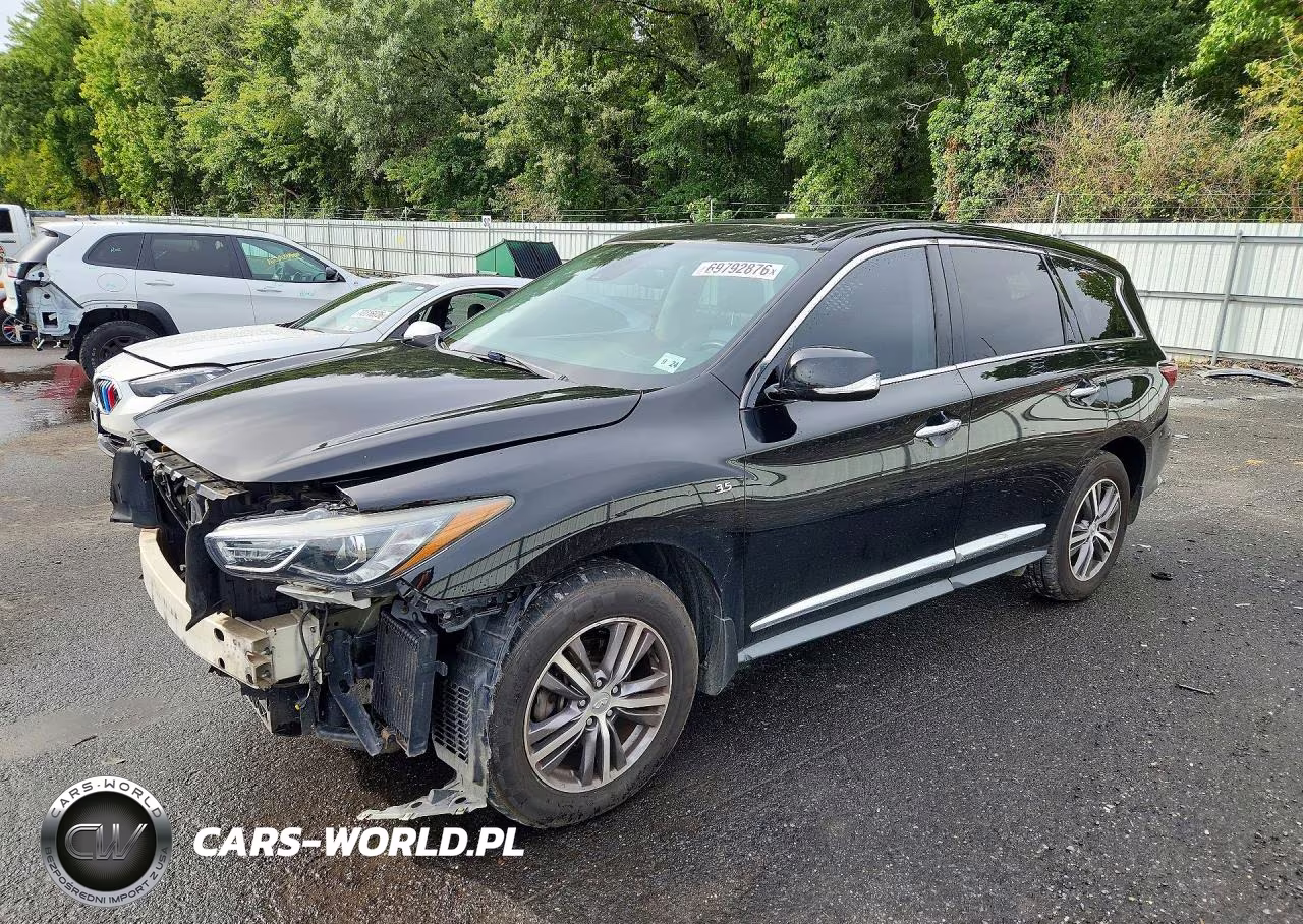 2019 Infiniti Qx60 Pure VIN:5N1DL0MN0KC551668 - 1
