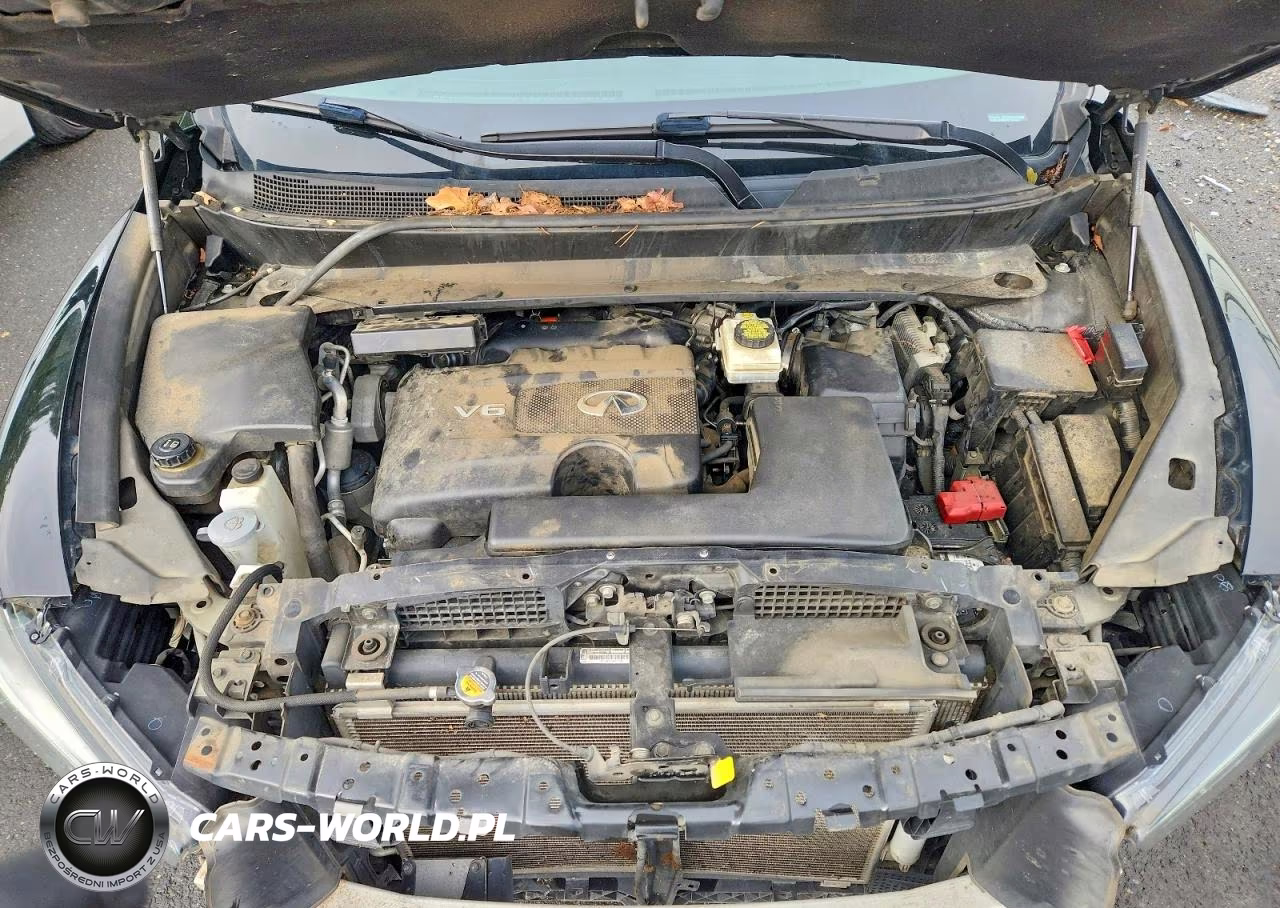 2019 Infiniti Qx60 Pure VIN:5N1DL0MN0KC551668 - 12