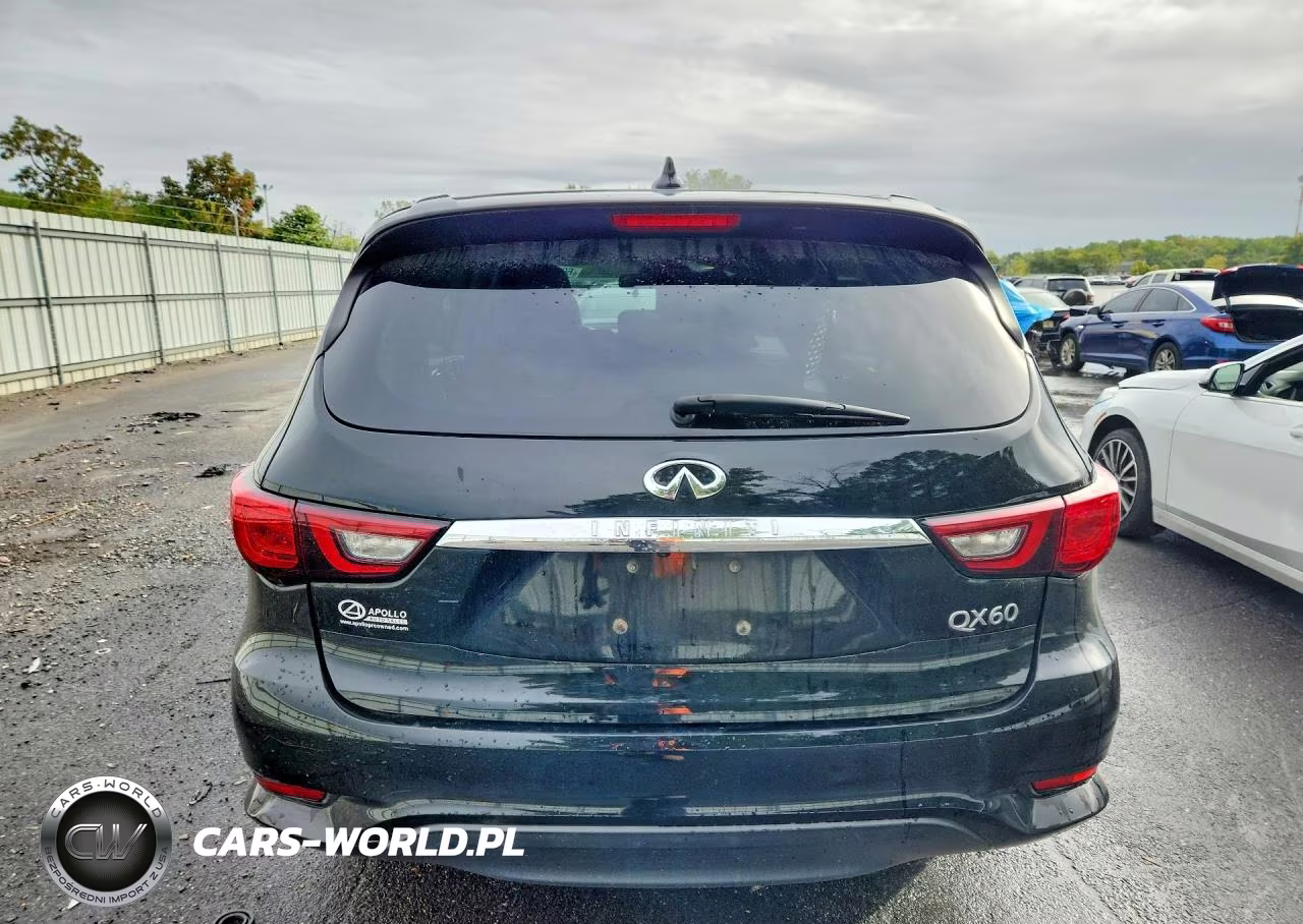 2019 Infiniti Qx60 Pure VIN:5N1DL0MN0KC551668 - 6