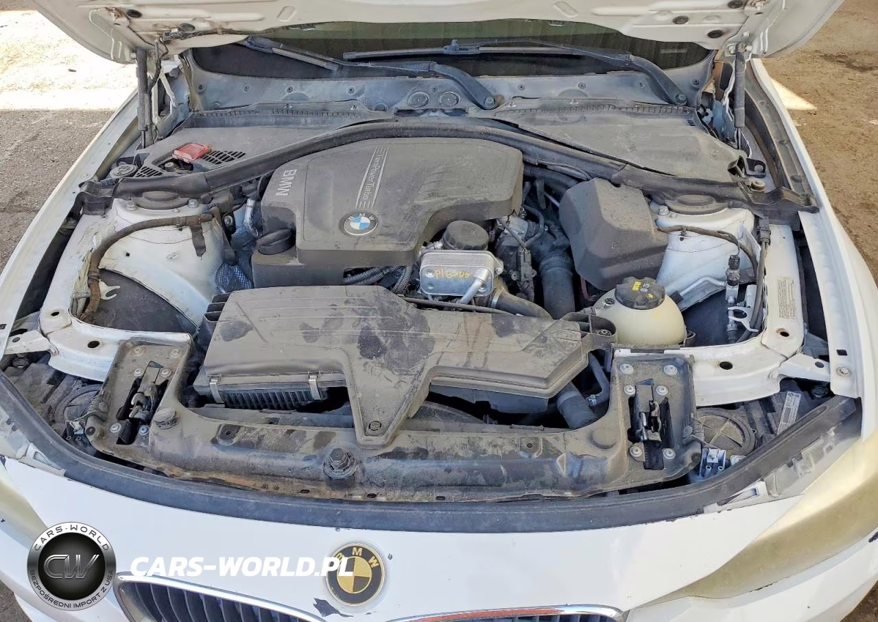 2014 BMW 320 I VIN:WBA3B1G5XENS81195 - 11