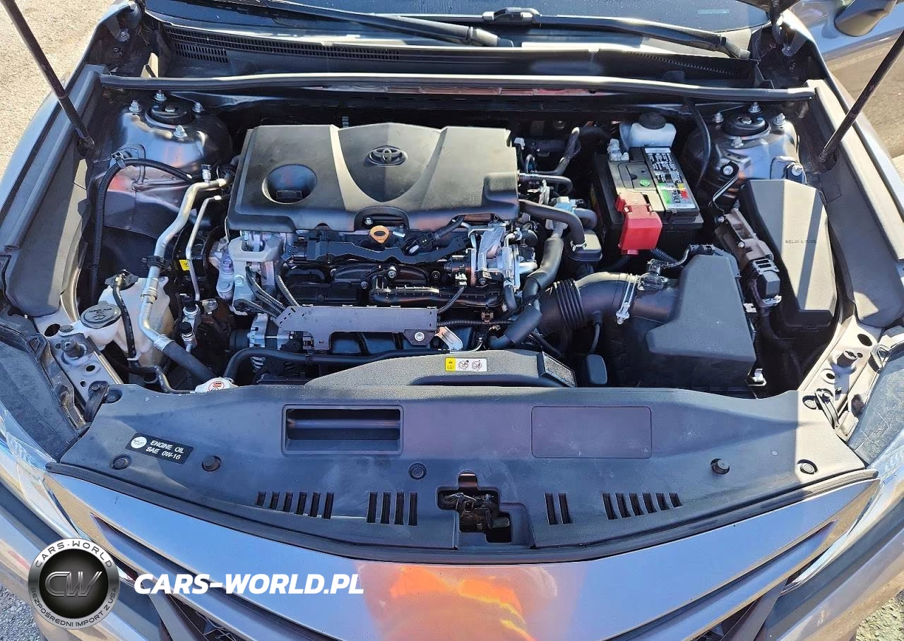 2020 Toyota Camry Se VIN:4T1M11AK5LU924415 - 11