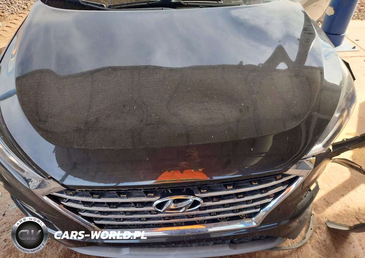 2019 Hyundai Tucson Ultimate VIN:KM8J33AL8KU051131 - 12