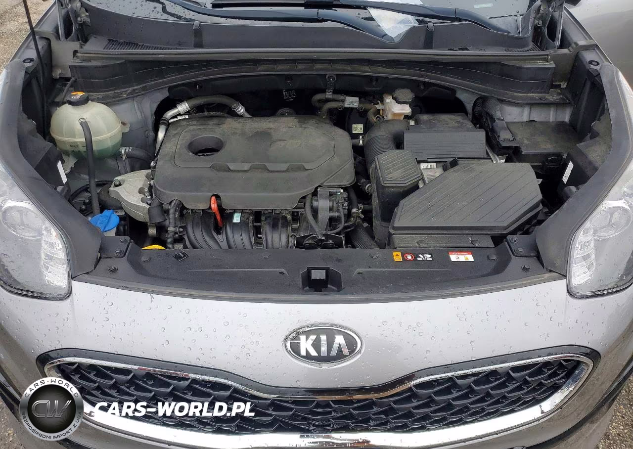 2021 Kia Sportage Lx VIN:KNDPM3ACXM7846646 - 12