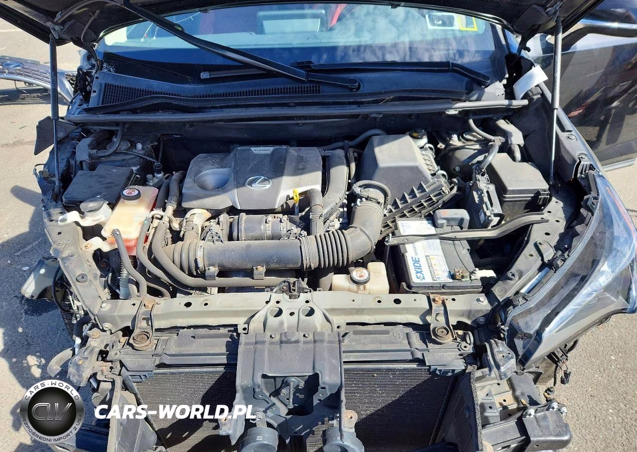 2019 Lexus Nx 300 Base VIN:JTJBARBZ0K2203478 - 12