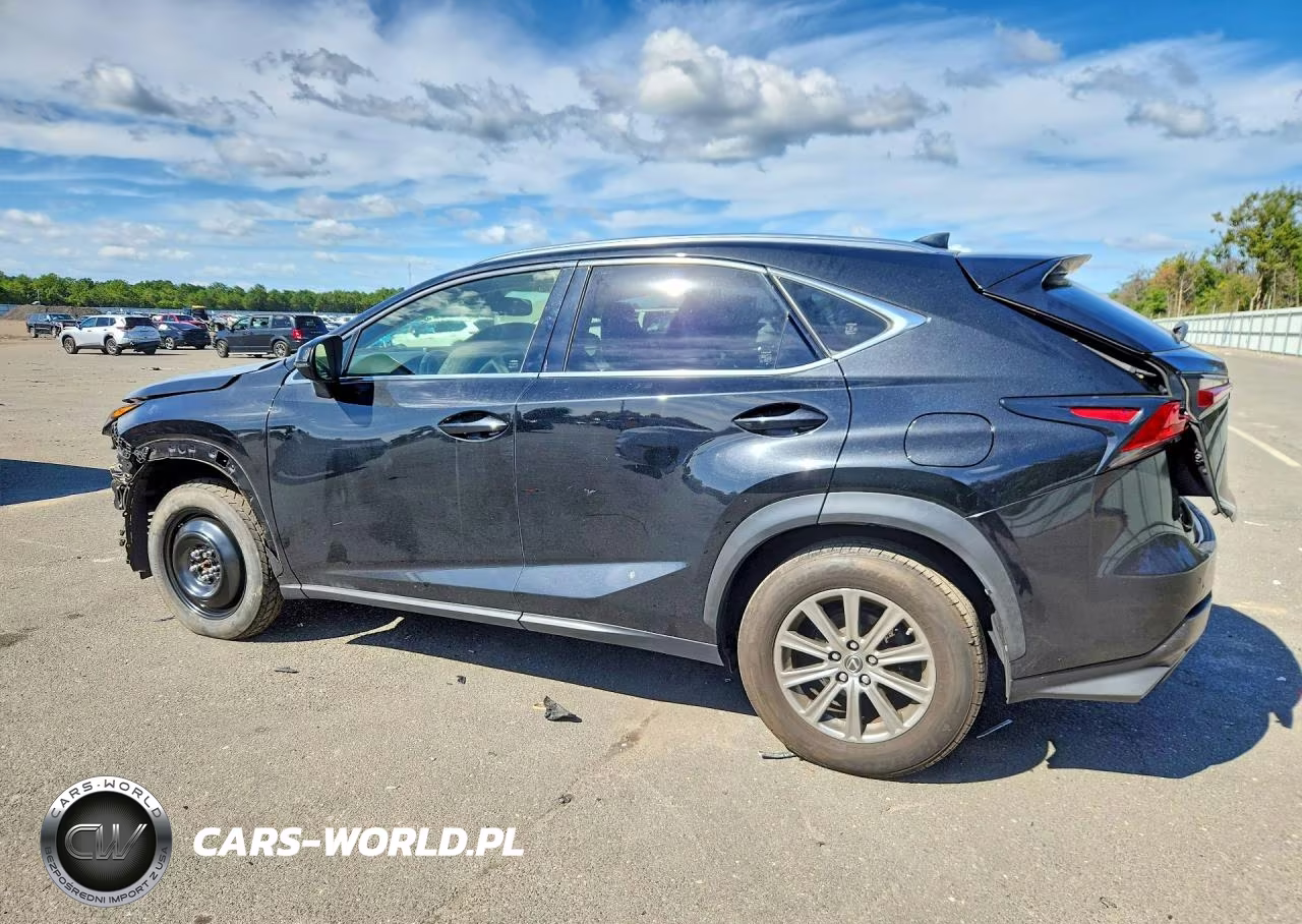 2019 Lexus Nx 300 Base VIN:JTJBARBZ0K2203478 - 2