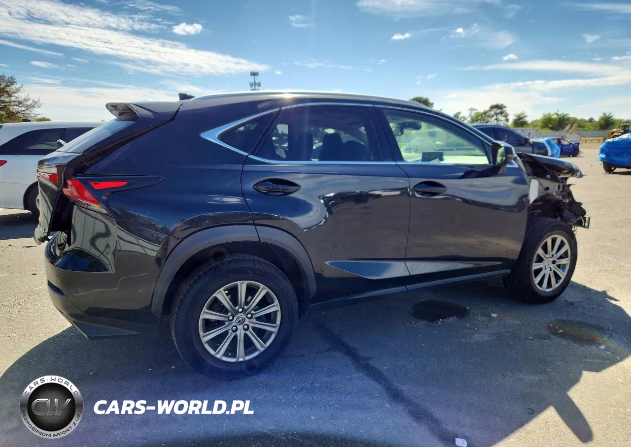 2019 Lexus Nx 300 Base VIN:JTJBARBZ0K2203478 - 3