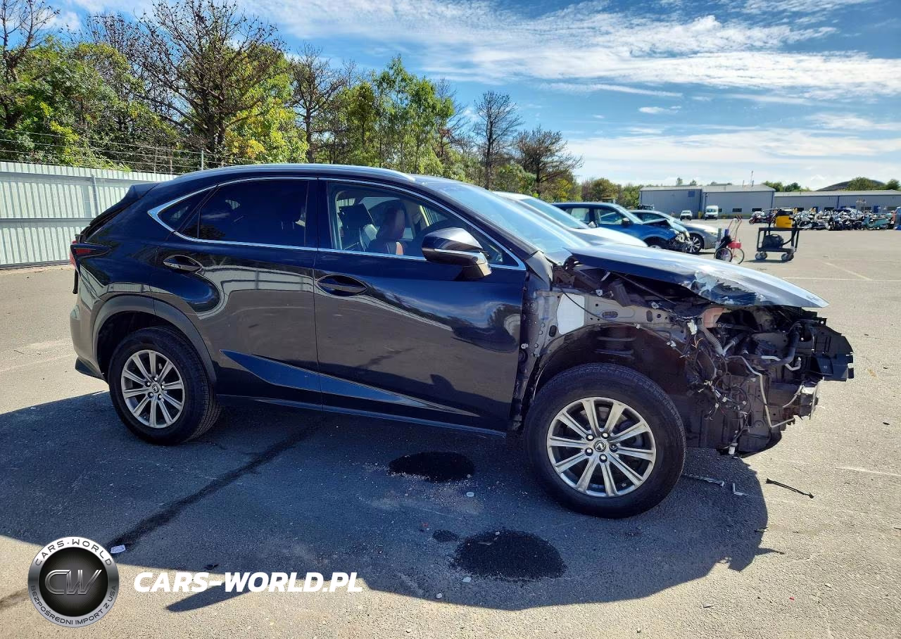 2019 Lexus Nx 300 Base VIN:JTJBARBZ0K2203478 - 4