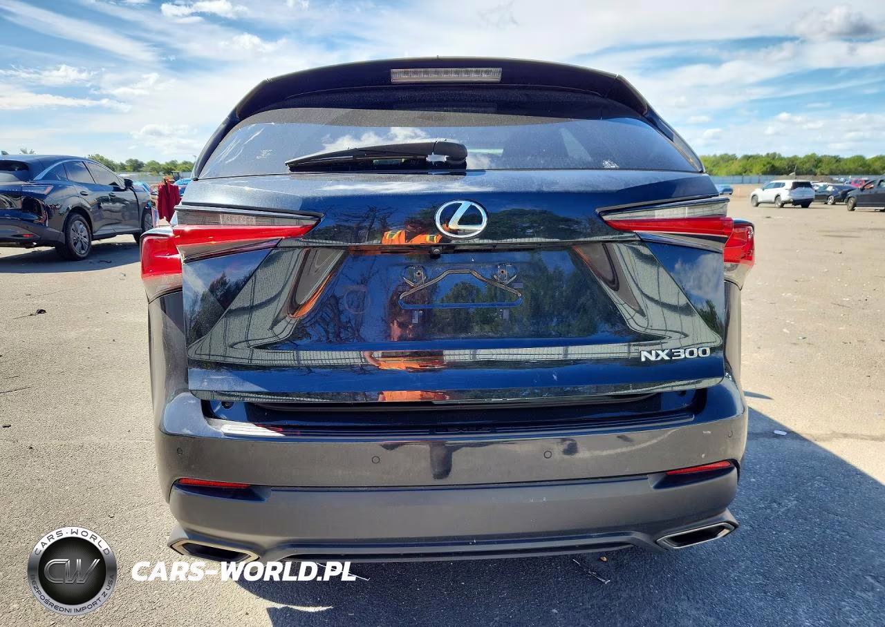 2019 Lexus Nx 300 Base VIN:JTJBARBZ0K2203478 - 6