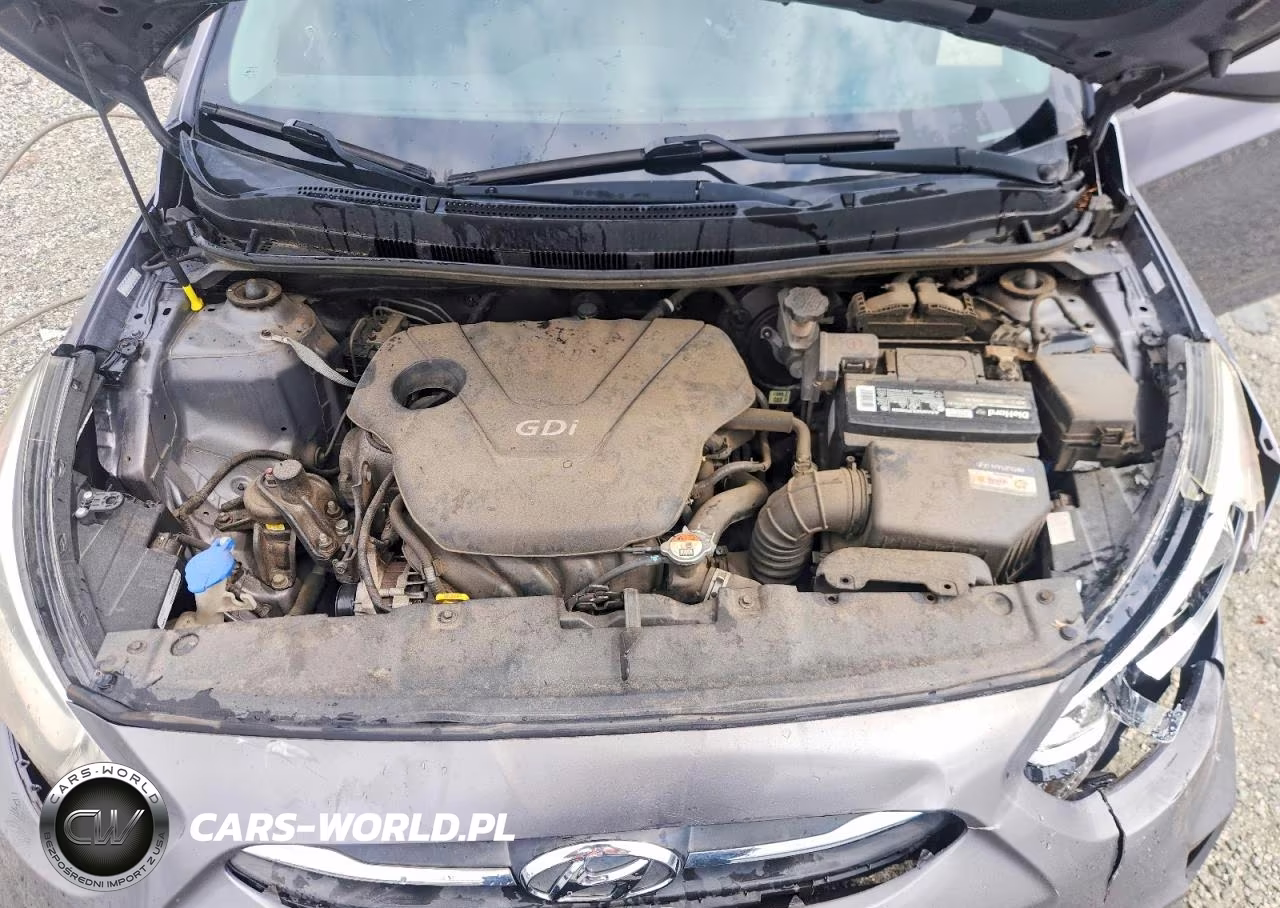 2015 Hyundai Accent Gs VIN:KMHCT5AE9FU222576 - 11
