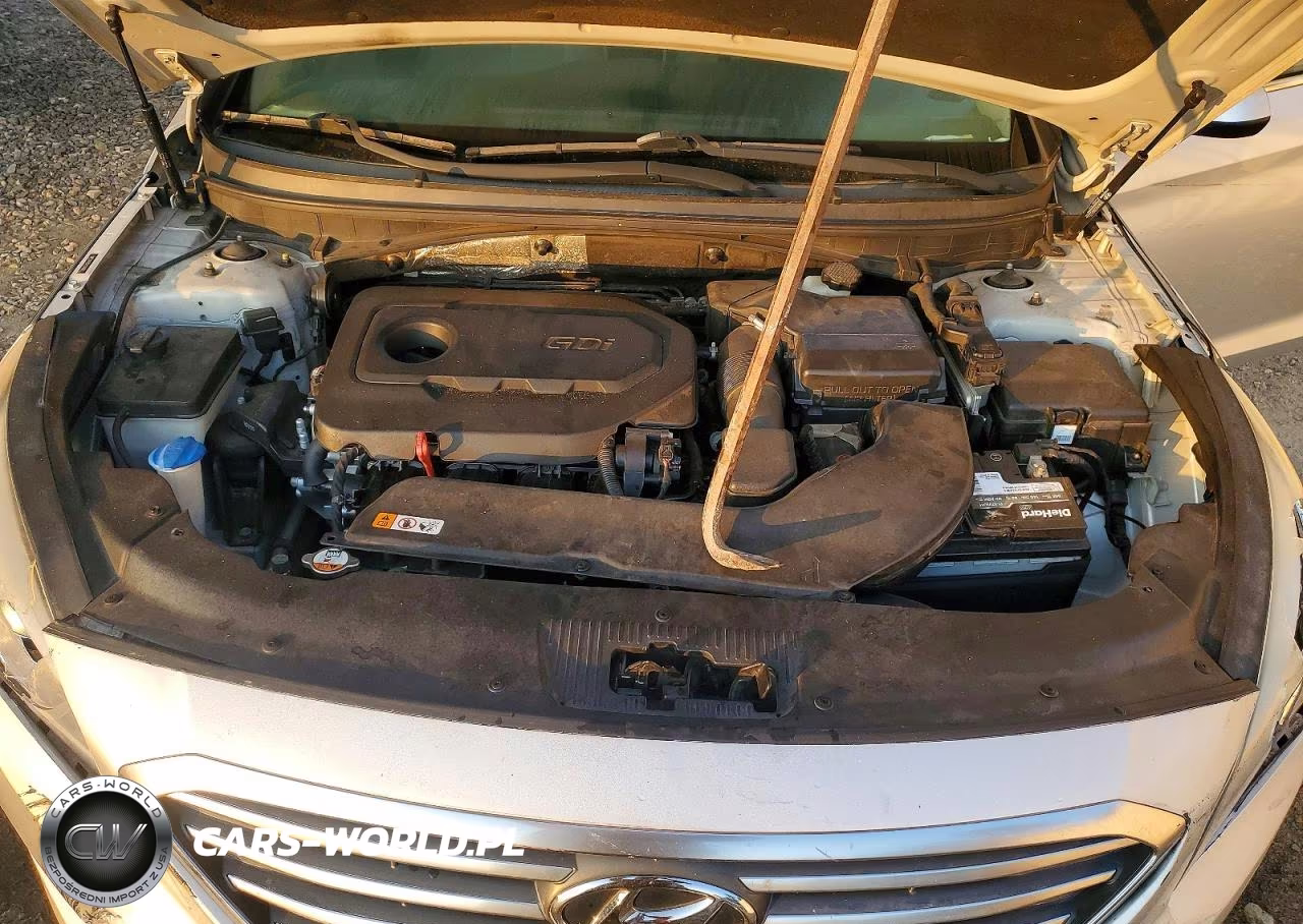 2016 Hyundai Sonata Se VIN:5NPE24AF8GH304667 - 11