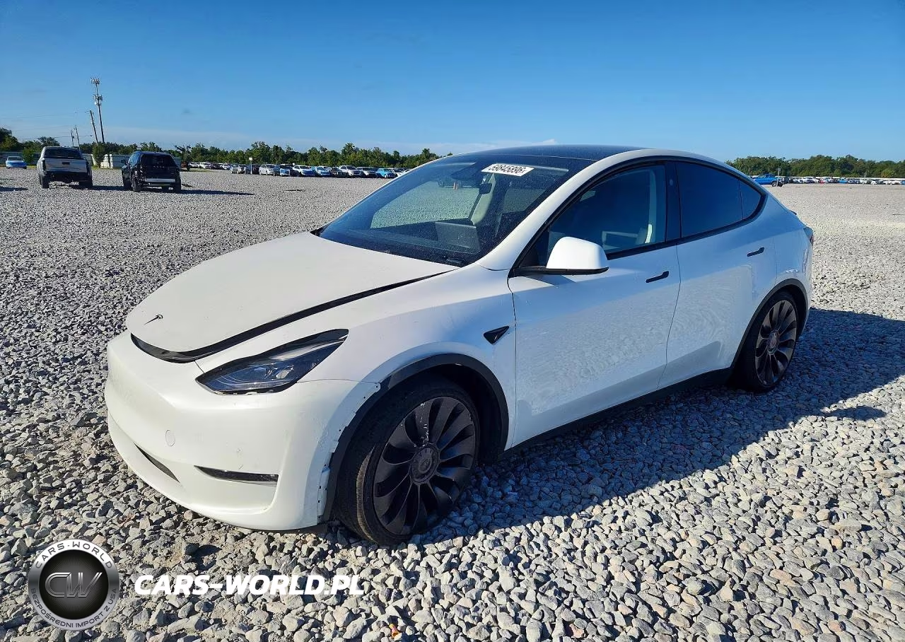2025 Tesla Model Y