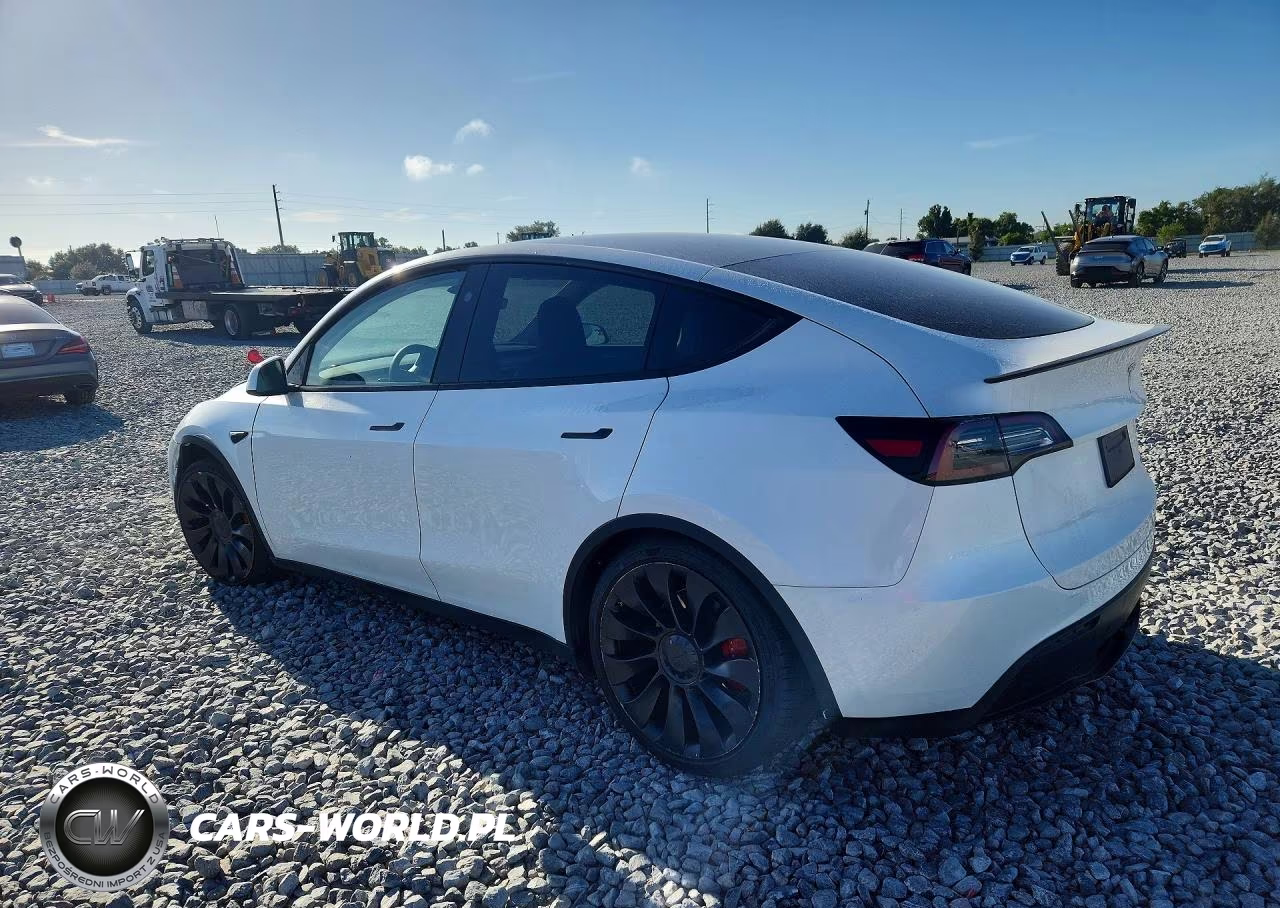 2025 Tesla Model Y VIN:7SAYGDEF4SF216539 - 2