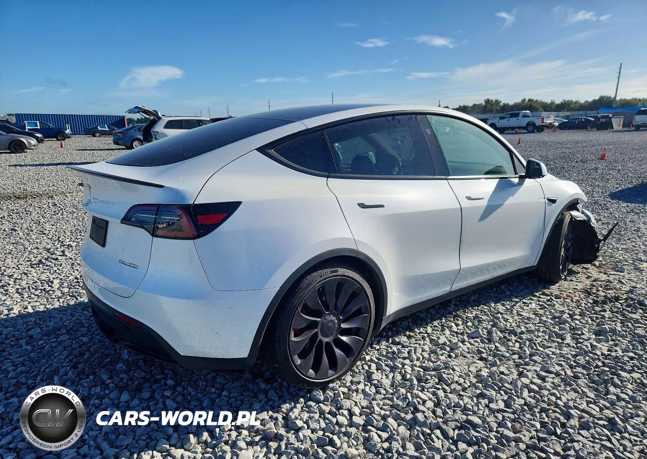 2025 Tesla Model Y VIN:7SAYGDEF4SF216539 - 3