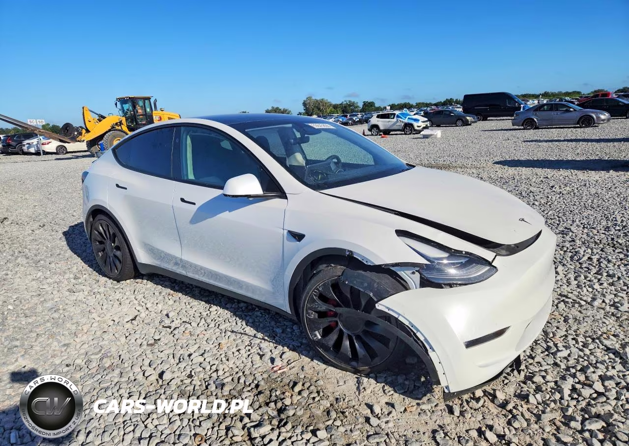 2025 Tesla Model Y VIN:7SAYGDEF4SF216539 - 4