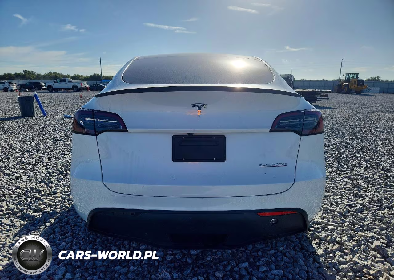 2025 Tesla Model Y VIN:7SAYGDEF4SF216539 - 6