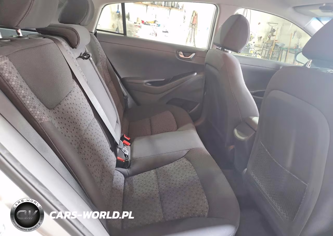 2018 Hyundai Ioniq Sel VIN:KMHC75LC2JU066261 - 10