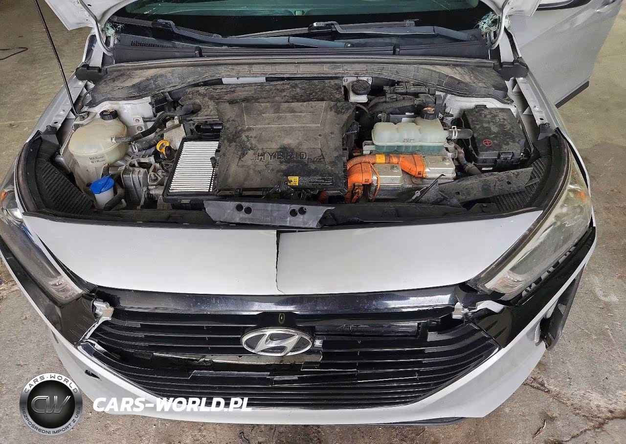 2018 Hyundai Ioniq Sel VIN:KMHC75LC2JU066261 - 11
