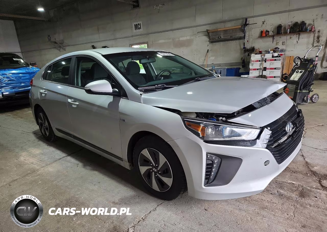 2018 Hyundai Ioniq Sel VIN:KMHC75LC2JU066261 - 4