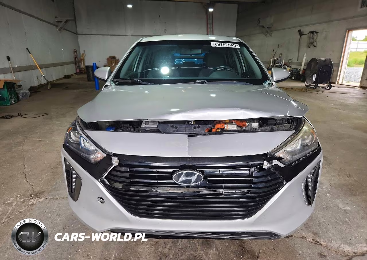 2018 Hyundai Ioniq Sel VIN:KMHC75LC2JU066261 - 5