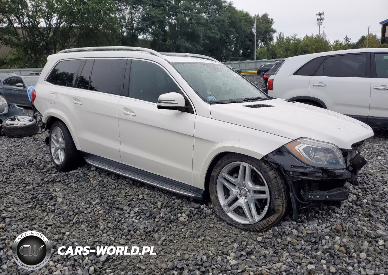 2014 Mercedes Benz Gl-Class VIN:4JGDF7DE6EA382028 - 4