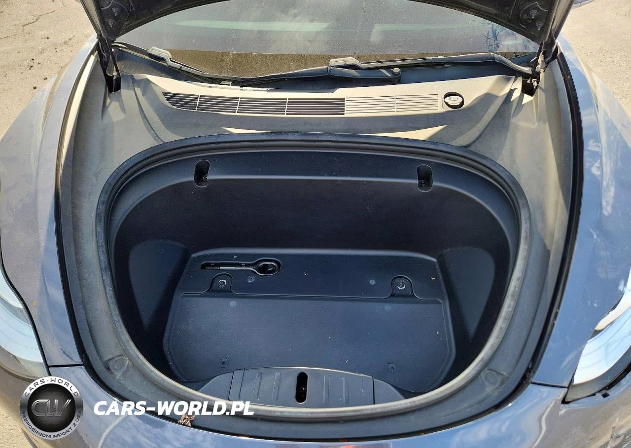 2020 Tesla Model 3 VIN:5YJ3E1EA9LF631681 - 11