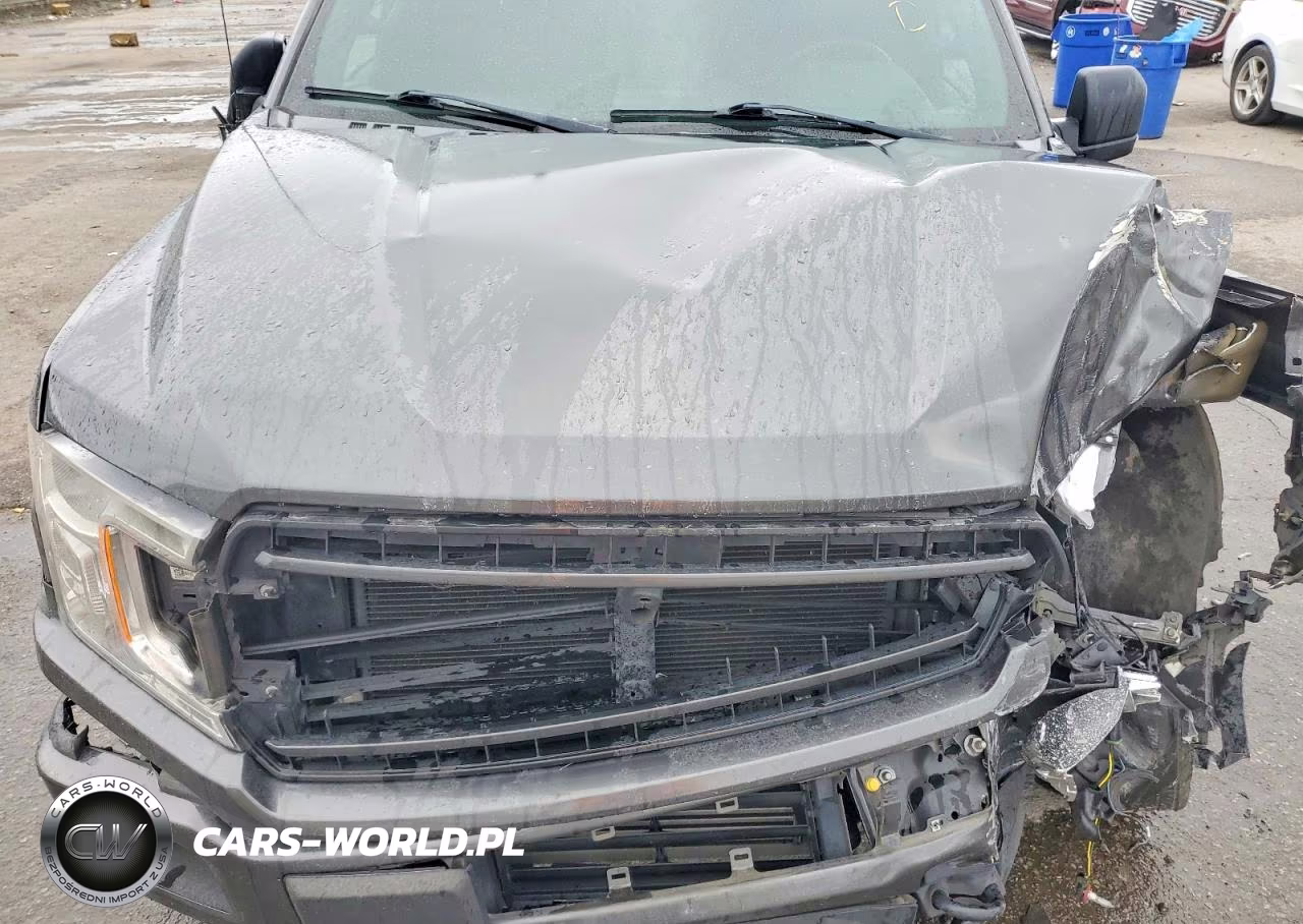 2019 Ford F150 Supercrew VIN:1FTEW1EP0KFC22425 - 11