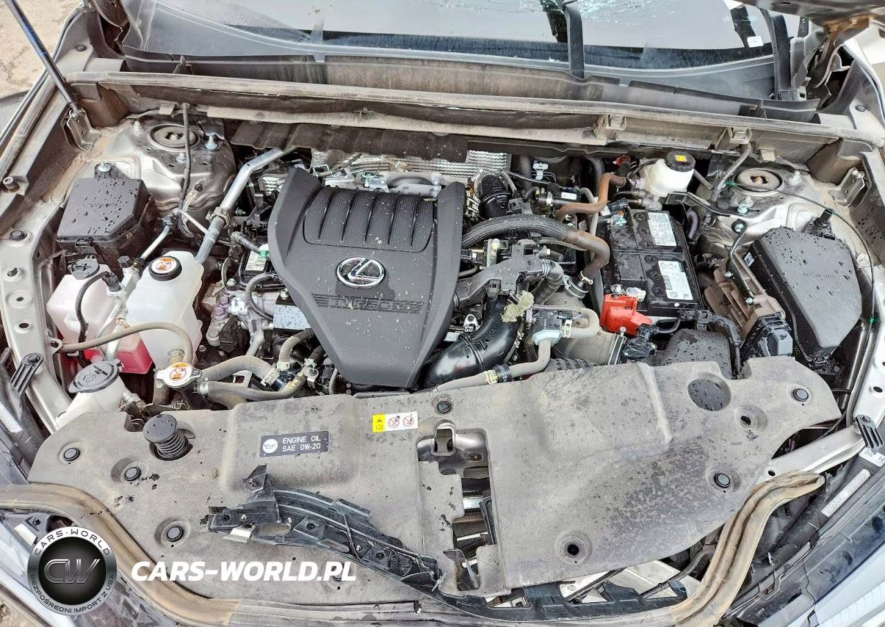2025 Lexus Nx 350 Luxury VIN:2T2HGCEZXSC078507 - 12