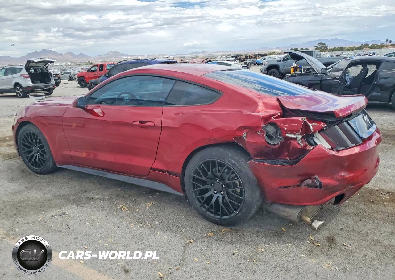2017 Ford Mustang VIN:1FA6P8AM9H5291821 - 2