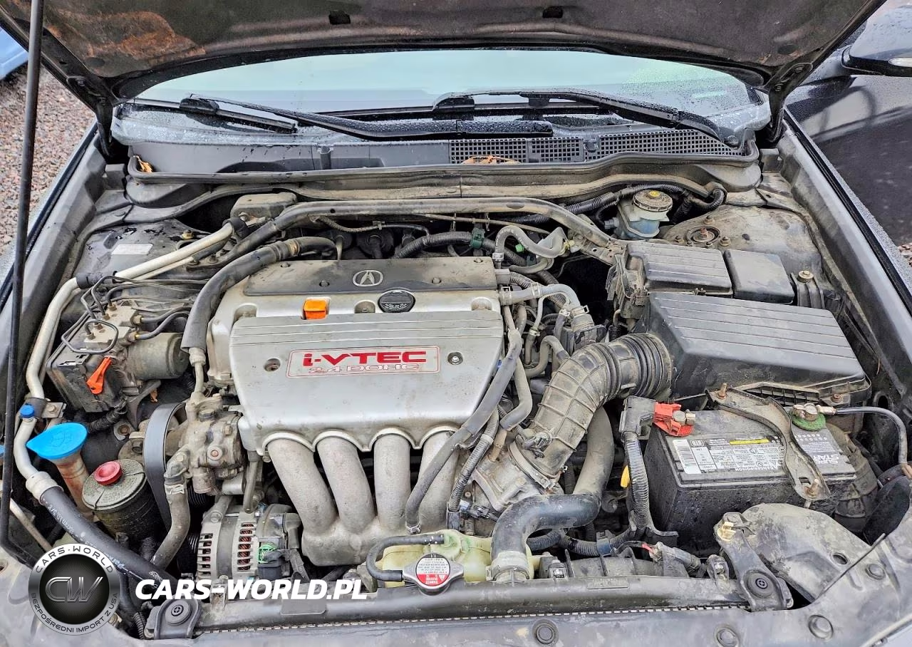 2004 Acura Tsx VIN:JH4CL96814C016586 - 11