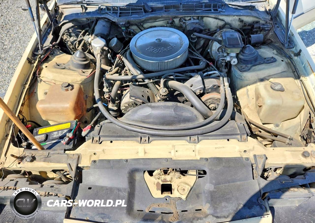 1985 Chevrolet Camaro Ss VIN:1G1FP87H5FL412253 - 11