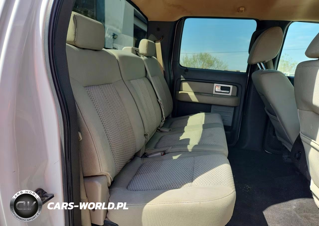 2009 Ford F150 Supercrew VIN:1FTRW14889FA66849 - 10