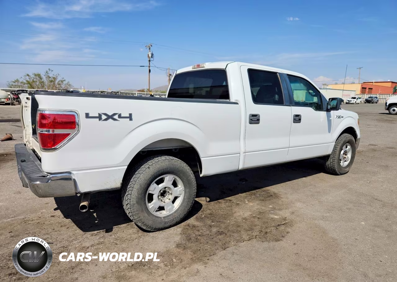 2009 Ford F150 Supercrew VIN:1FTRW14889FA66849 - 3