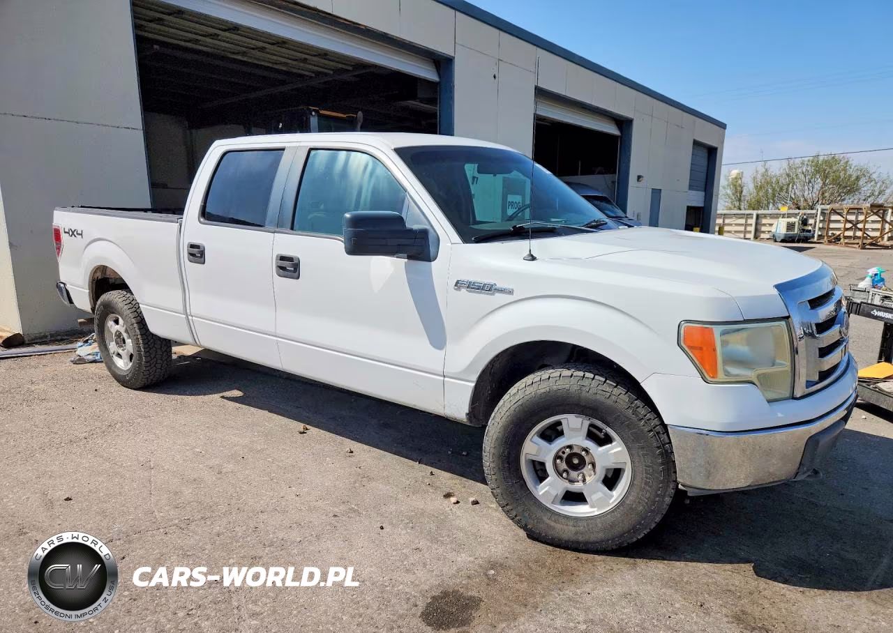 2009 Ford F150 Supercrew VIN:1FTRW14889FA66849 - 4