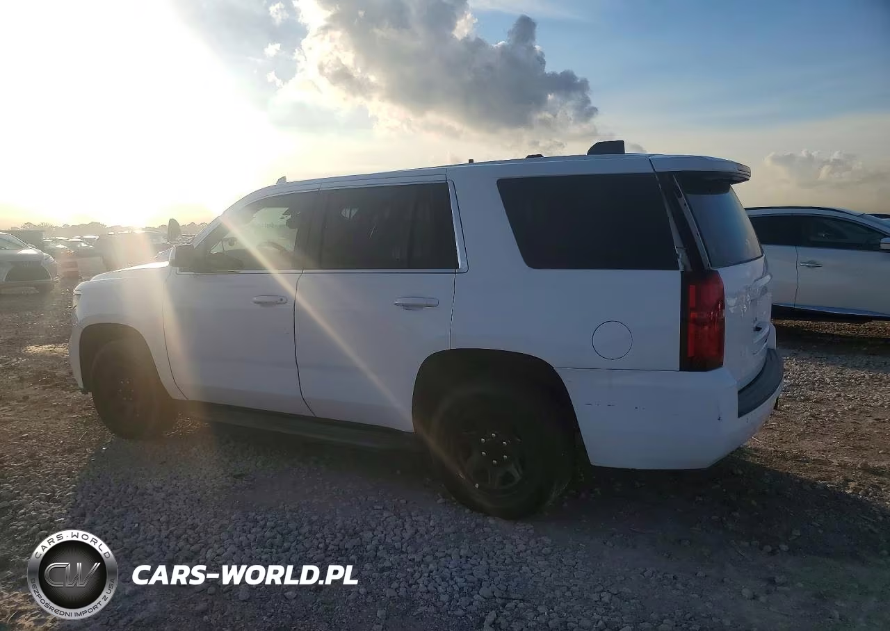 2020 Chevrolet Tahoe Police VIN:1GNLCDECXLR302255 - 2