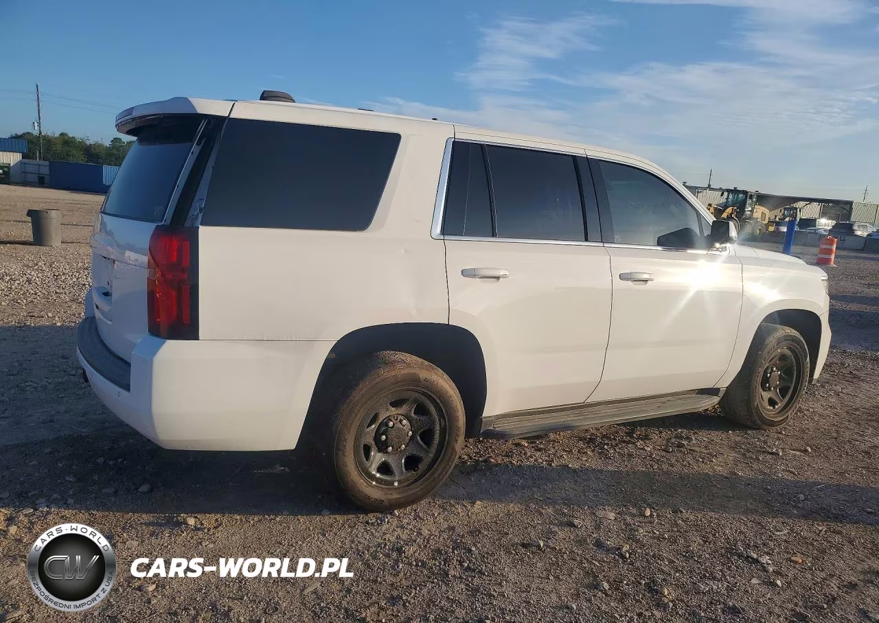 2020 Chevrolet Tahoe Police VIN:1GNLCDECXLR302255 - 3