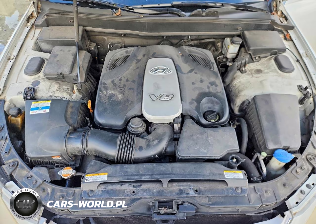 2010 Hyundai Genesis 4.6L VIN:KMHGC4DF5AU108079 - 11