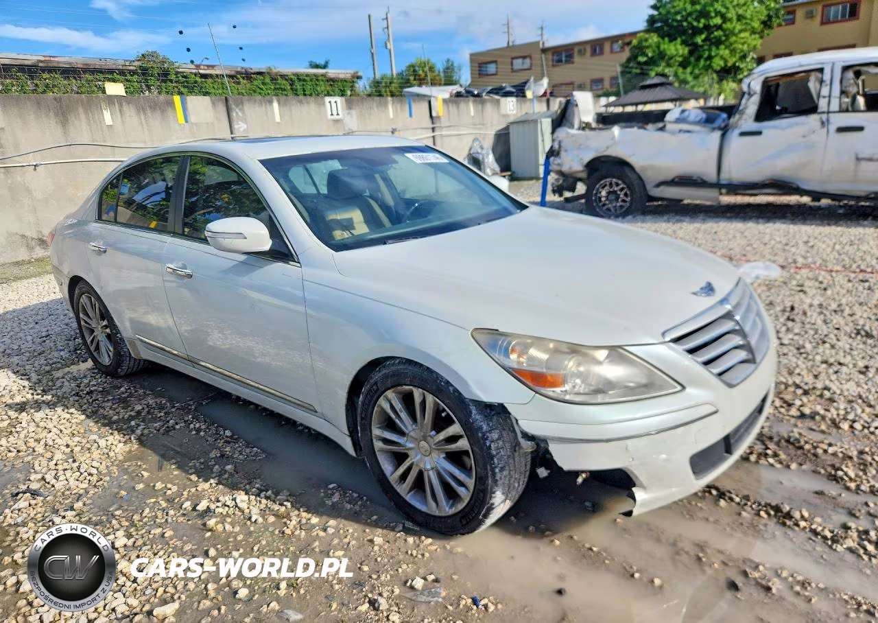 2010 Hyundai Genesis 4.6L VIN:KMHGC4DF5AU108079 - 4