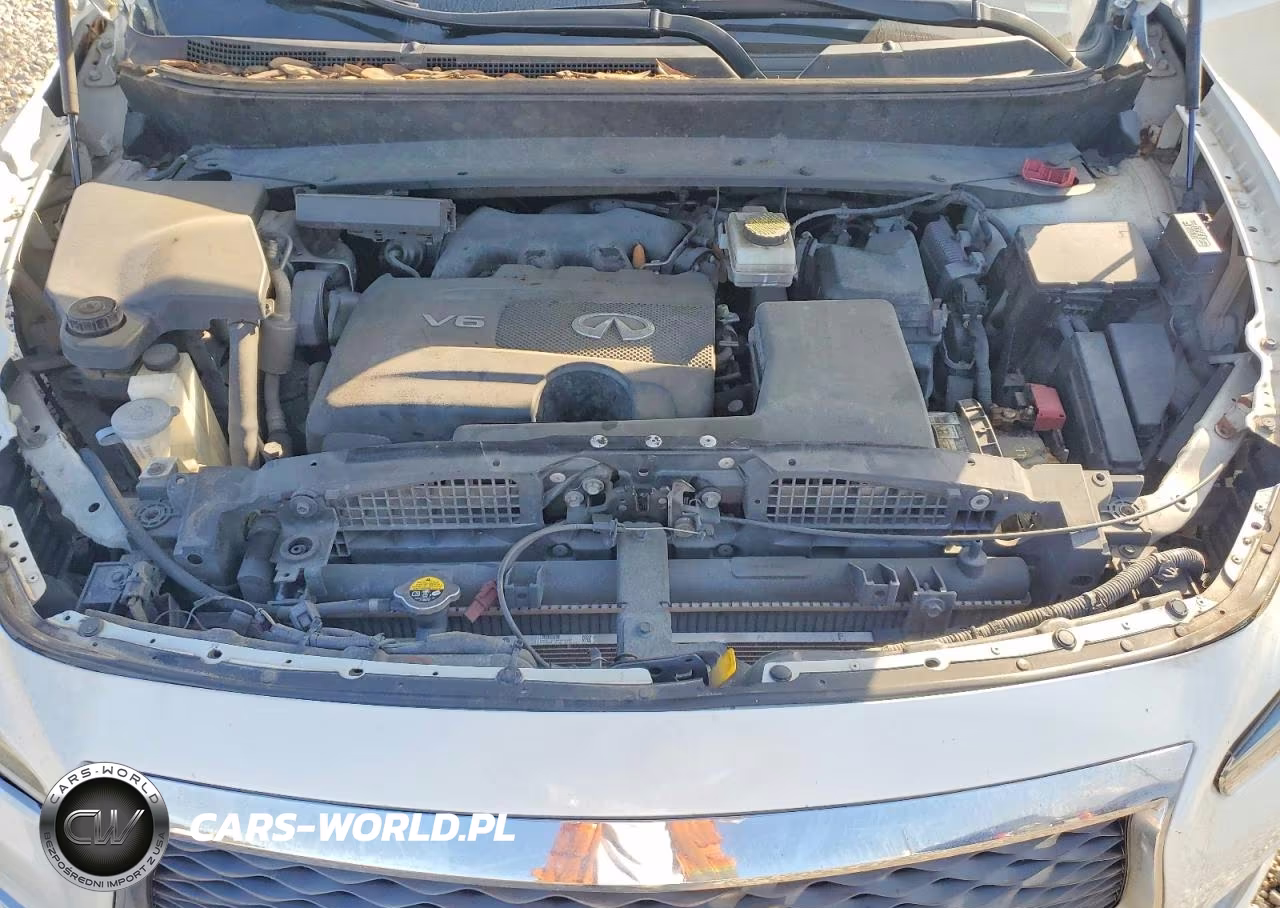 2019 Infiniti Qx60 Luxe VIN:5N1DL0MN3KC504957 - 12