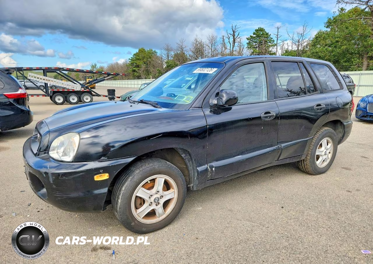 2004 Hyundai Santa Fe Gls VIN:KM8SC13D54U739170 - 1